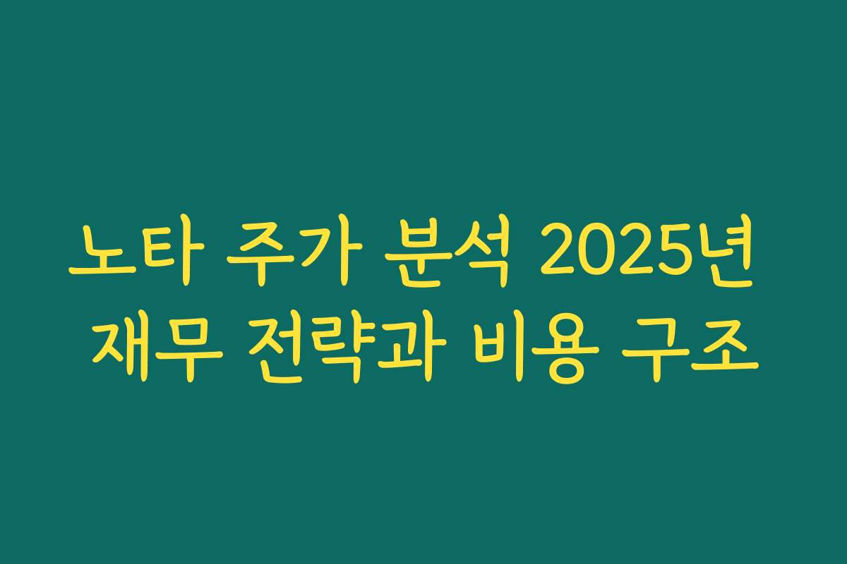 노타 주가 분석 2025년 재무 전략과 비용 구조