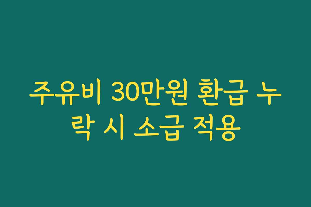 주유비 30만원 환급 누락 시 소급 적용