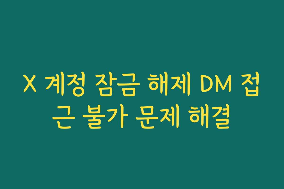 X 계정 잠금 해제 DM 접근 불가 문제 해결