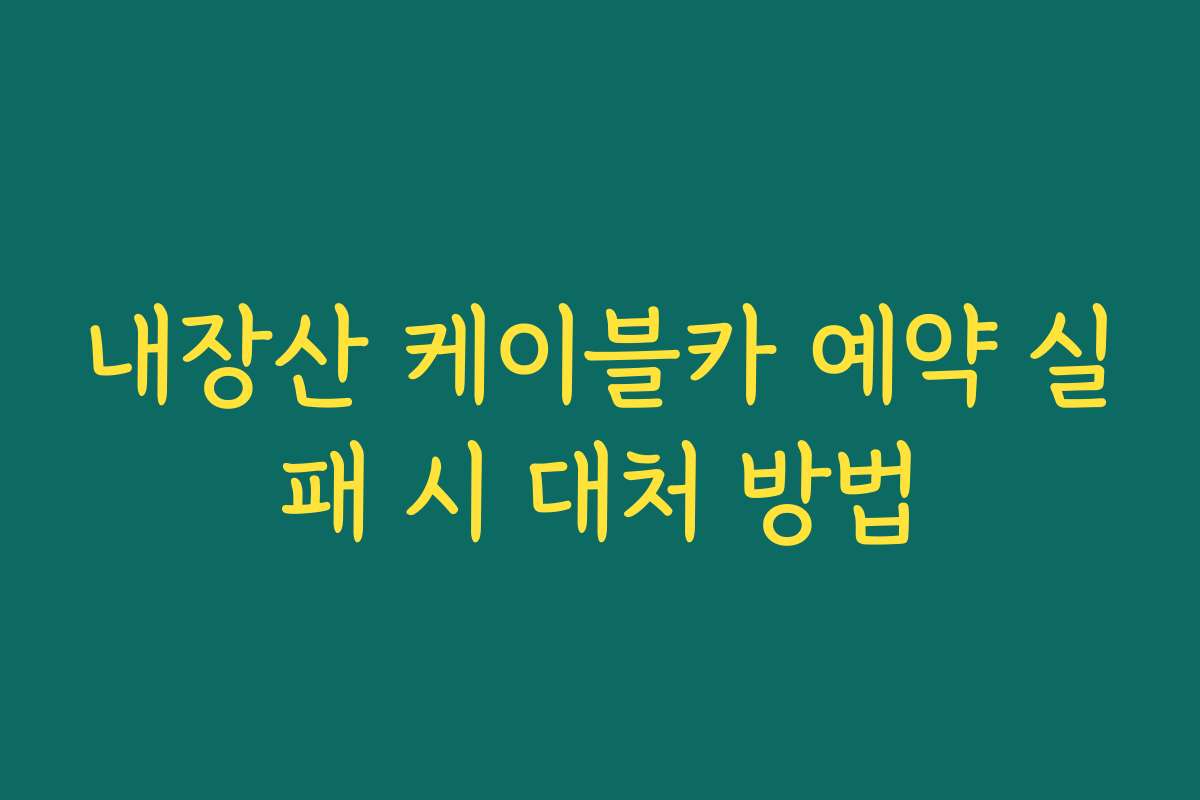 내장산 케이블카 예약 실패 시 대처 방법