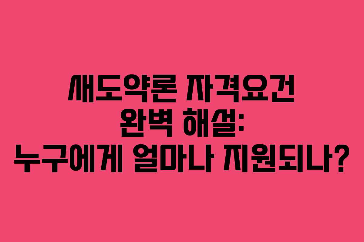 새도약론 자격요건 완벽 해설: 누구에게 얼마나 지원되나?
