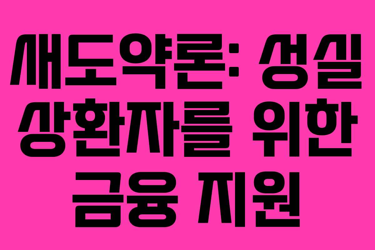 새도약론: 성실 상환자를 위한 금융 지원