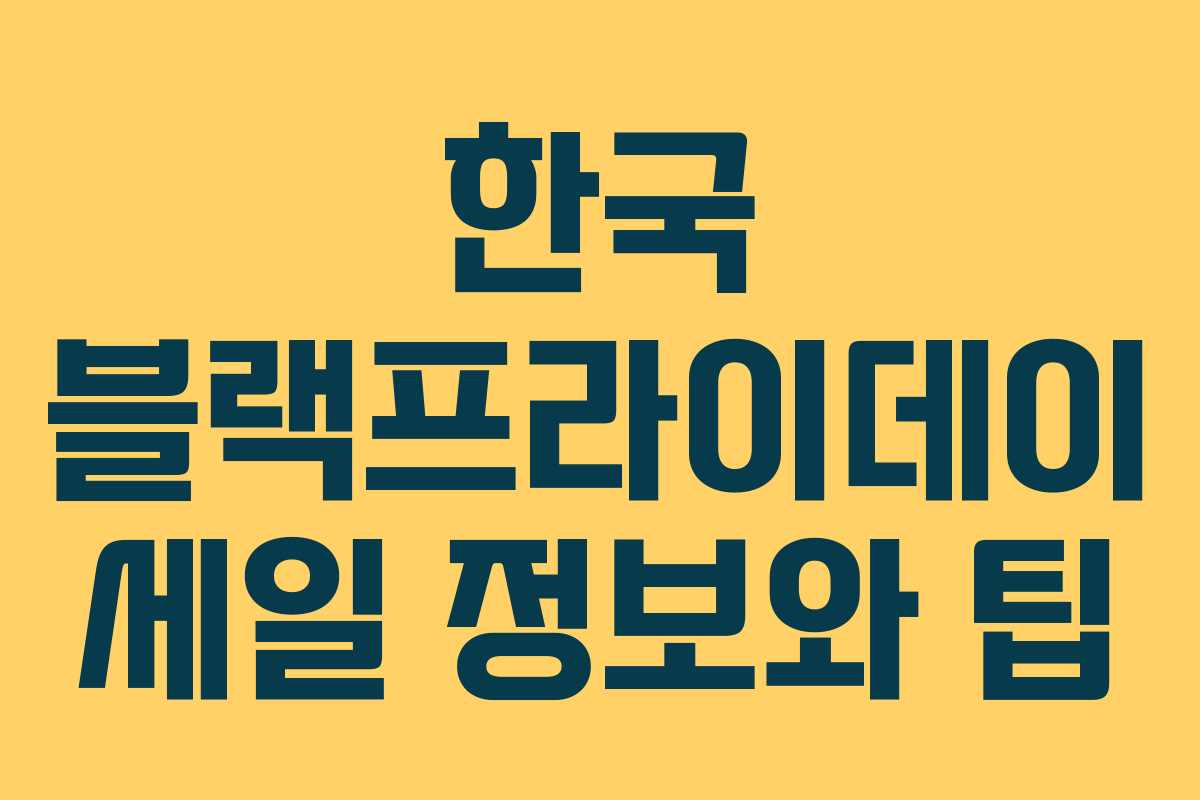 한국 블랙프라이데이 세일 정보와 팁