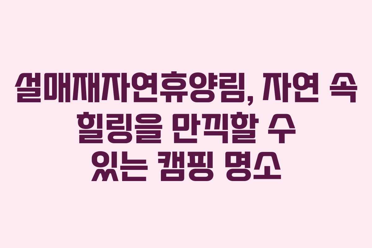 설매재자연휴양림, 자연 속 힐링을 만끽할 수 있는 캠핑 명소