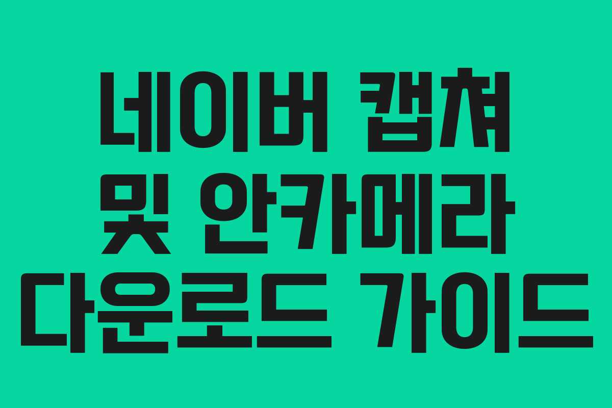 네이버 캡쳐 및 안카메라 다운로드 가이드
