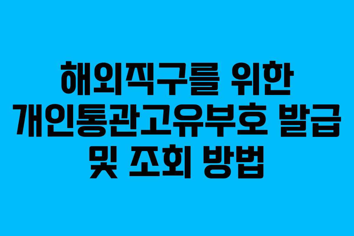 해외직구를 위한 개인통관고유부호 발급 및 조회 방법 해외직구를 위한 개인통관고유부호 발급 및 조회 방법