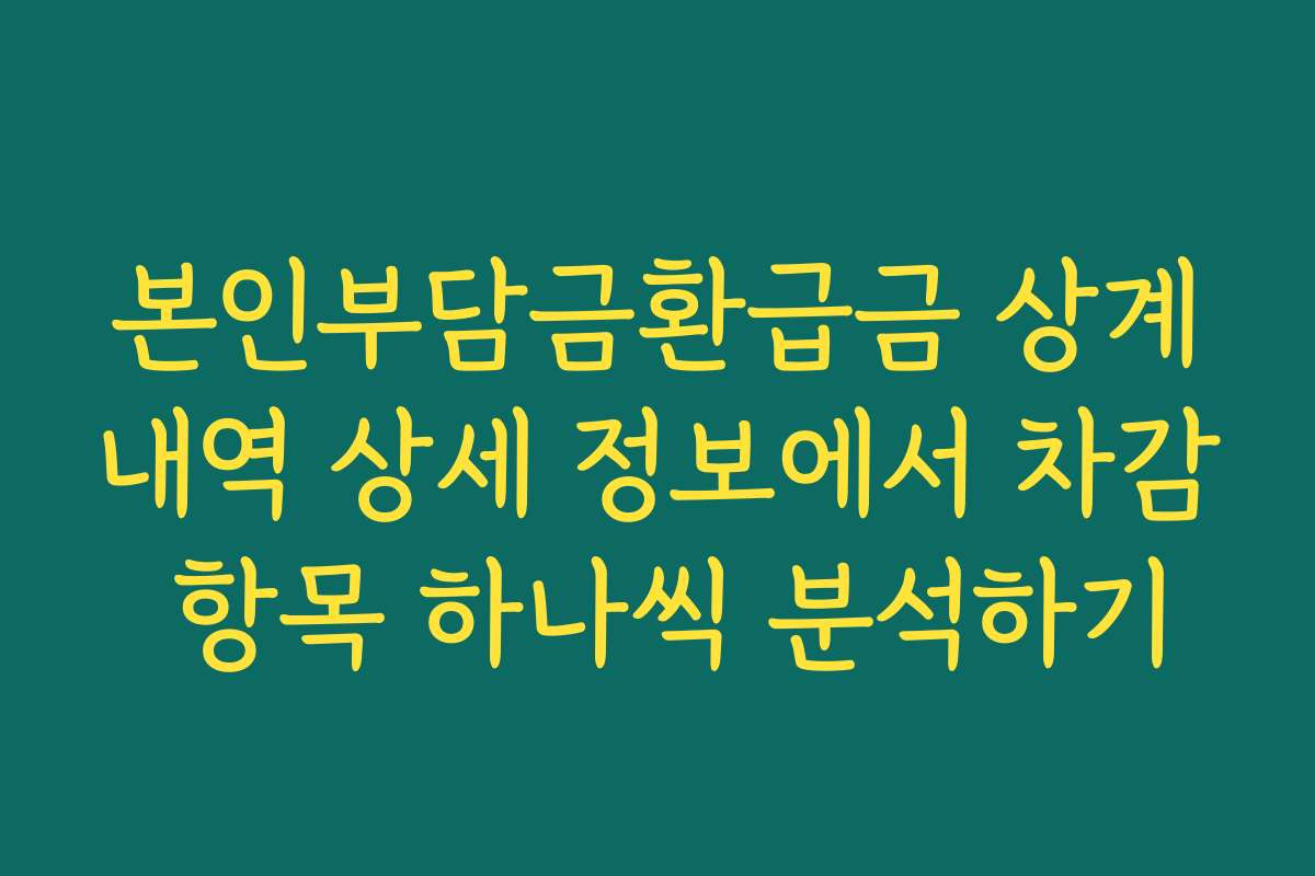 본인부담금환급금 상계내역 상세 정보에서 차감 항목 하나씩 분석하기