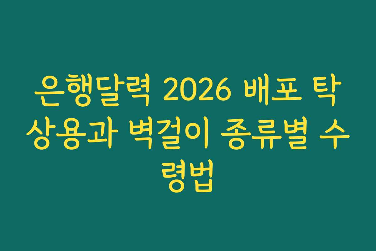 은행달력 2026 배포 탁상용과 벽걸이 종류별 수령법