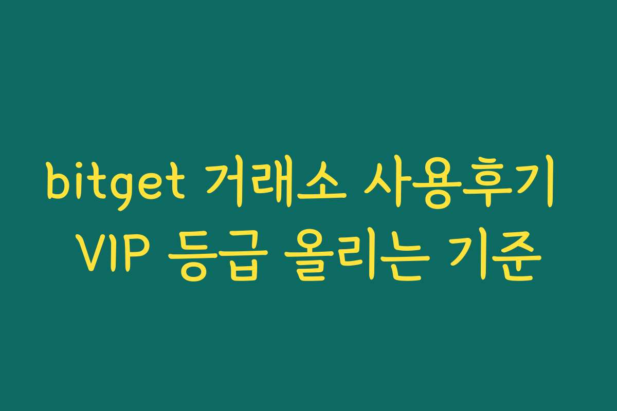 bitget 거래소 사용후기 VIP 등급 올리는 기준 bitget 거래소 사용후기 VIP 등급 올리는 기준