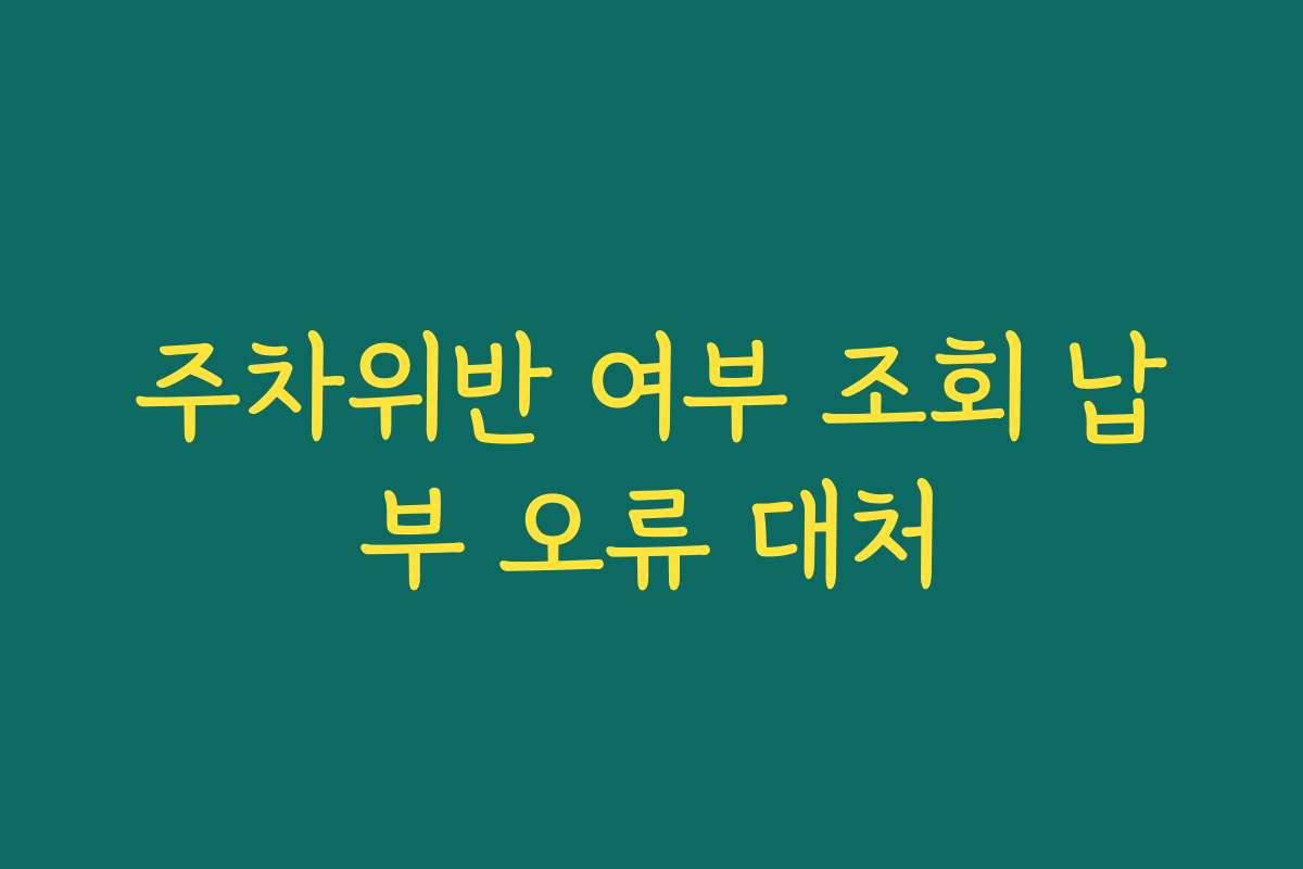 주차위반 여부 조회 납부 오류 대처