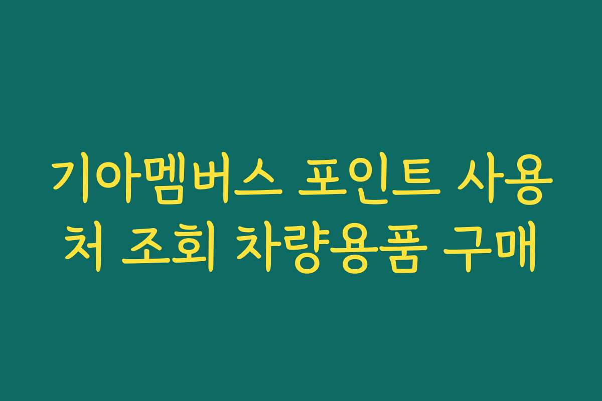 기아멤버스 포인트 사용처 조회 차량용품 구매
