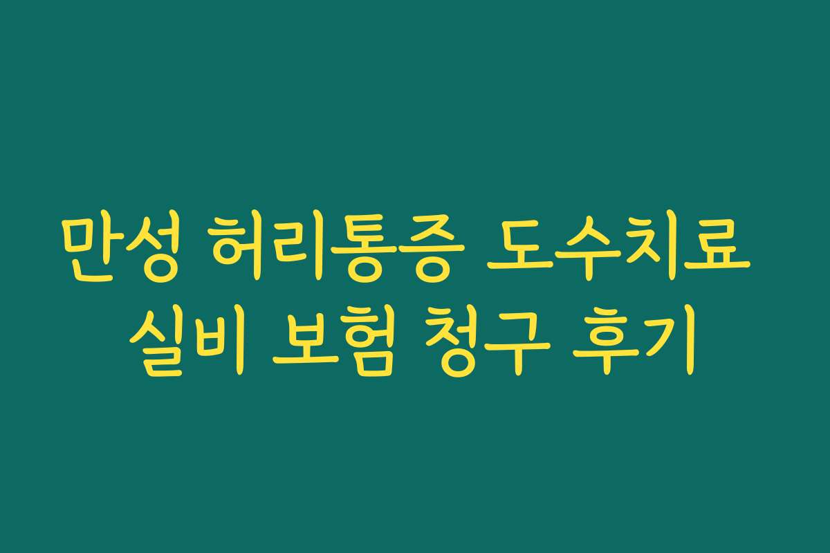 만성 허리통증 도수치료 실비 보험 청구 후기 만성 허리통증 도수치료 실비 보험 청구 후기