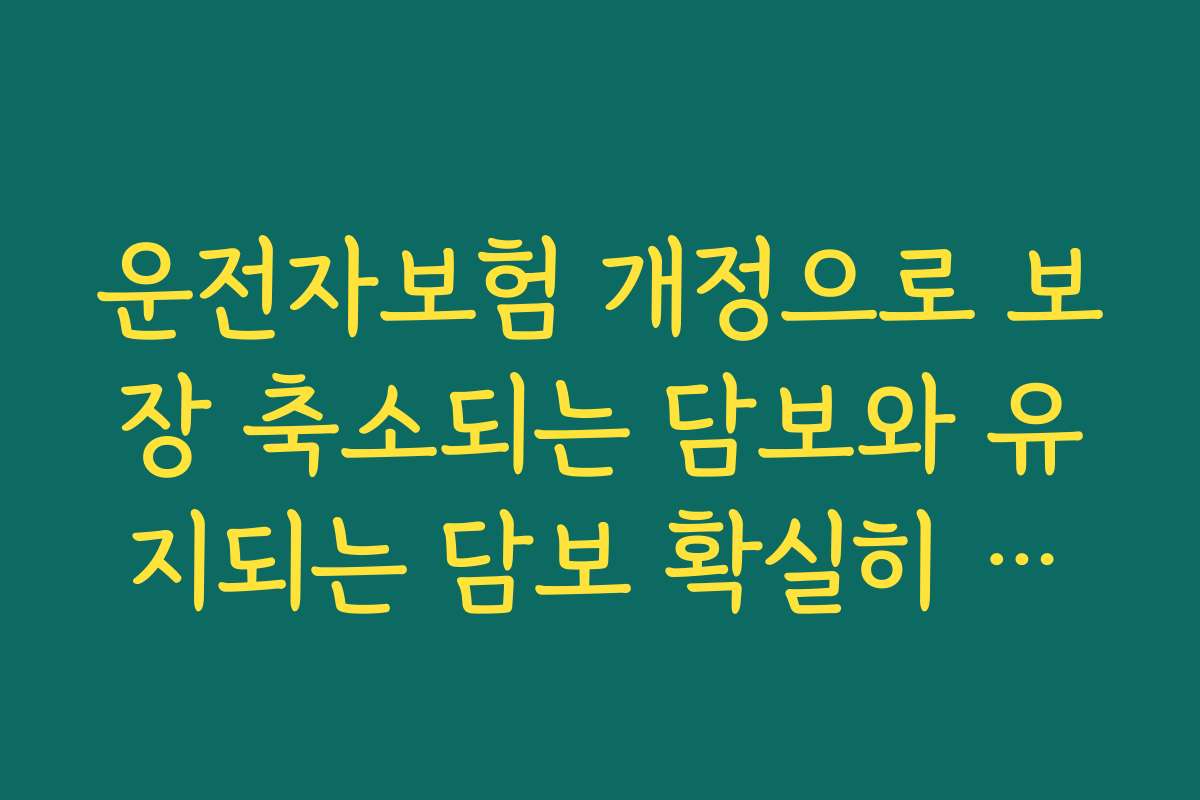 운전자보험 개정으로 보장 축소되는 담보와 유지되는 담보 확실히 구분하기 운전자보험 개정으로 보장 축소되는 담보와 유지되는 담보 확실히 구분하기