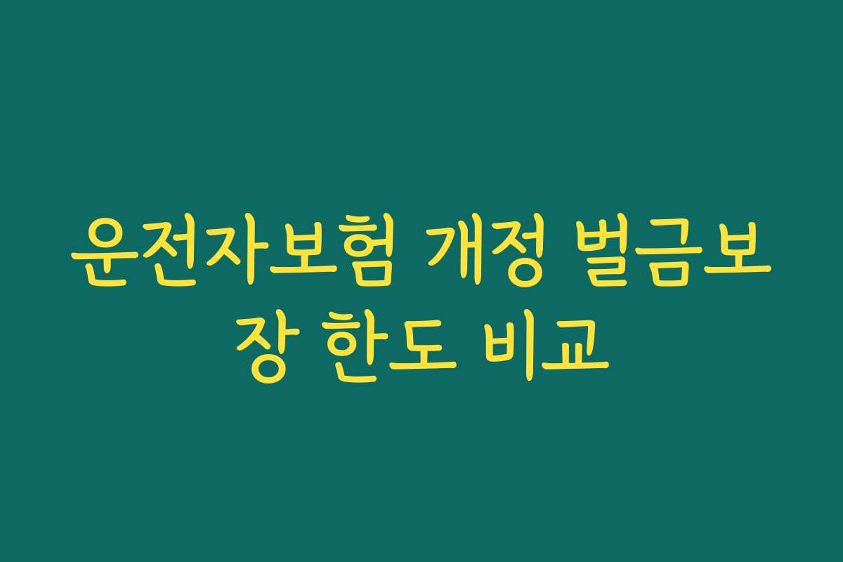 운전자보험 개정 벌금보장 한도 비교
