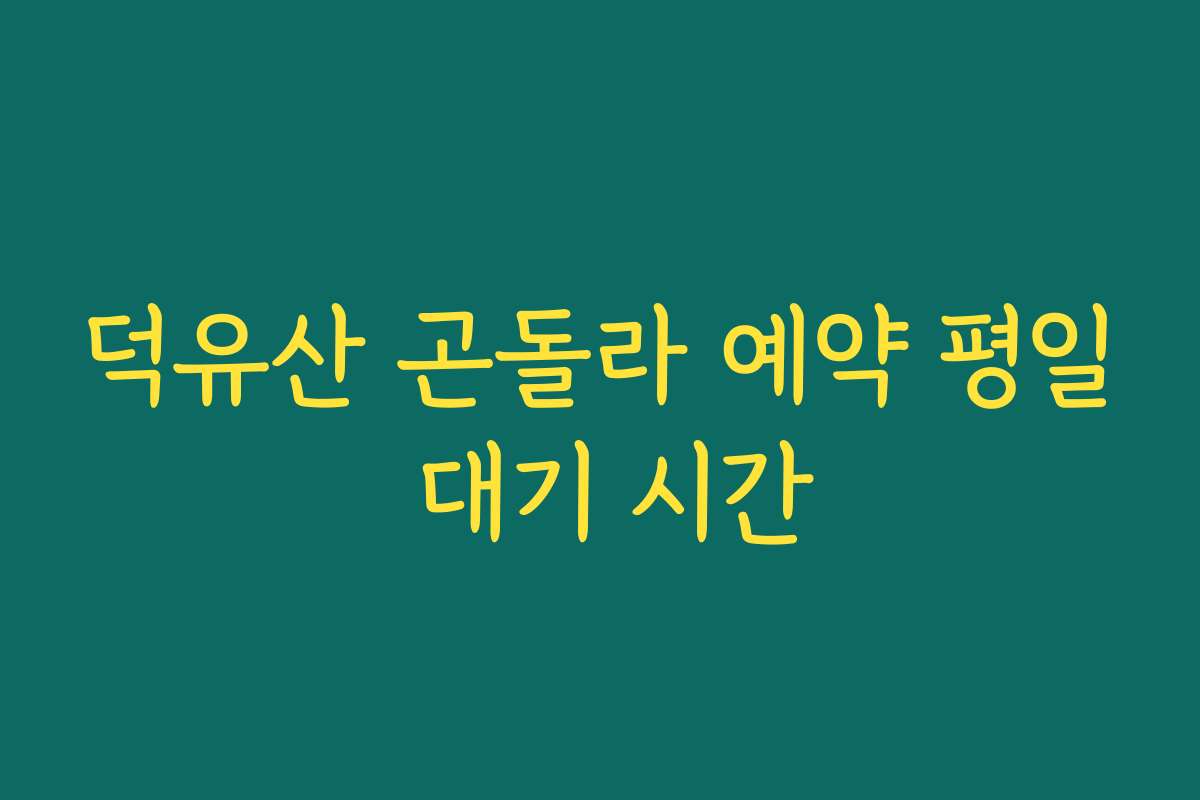 덕유산 곤돌라 예약 평일 대기 시간