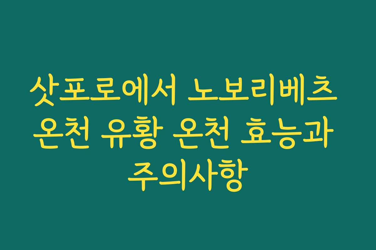 삿포로에서 노보리베츠 온천 유황 온천 효능과 주의사항