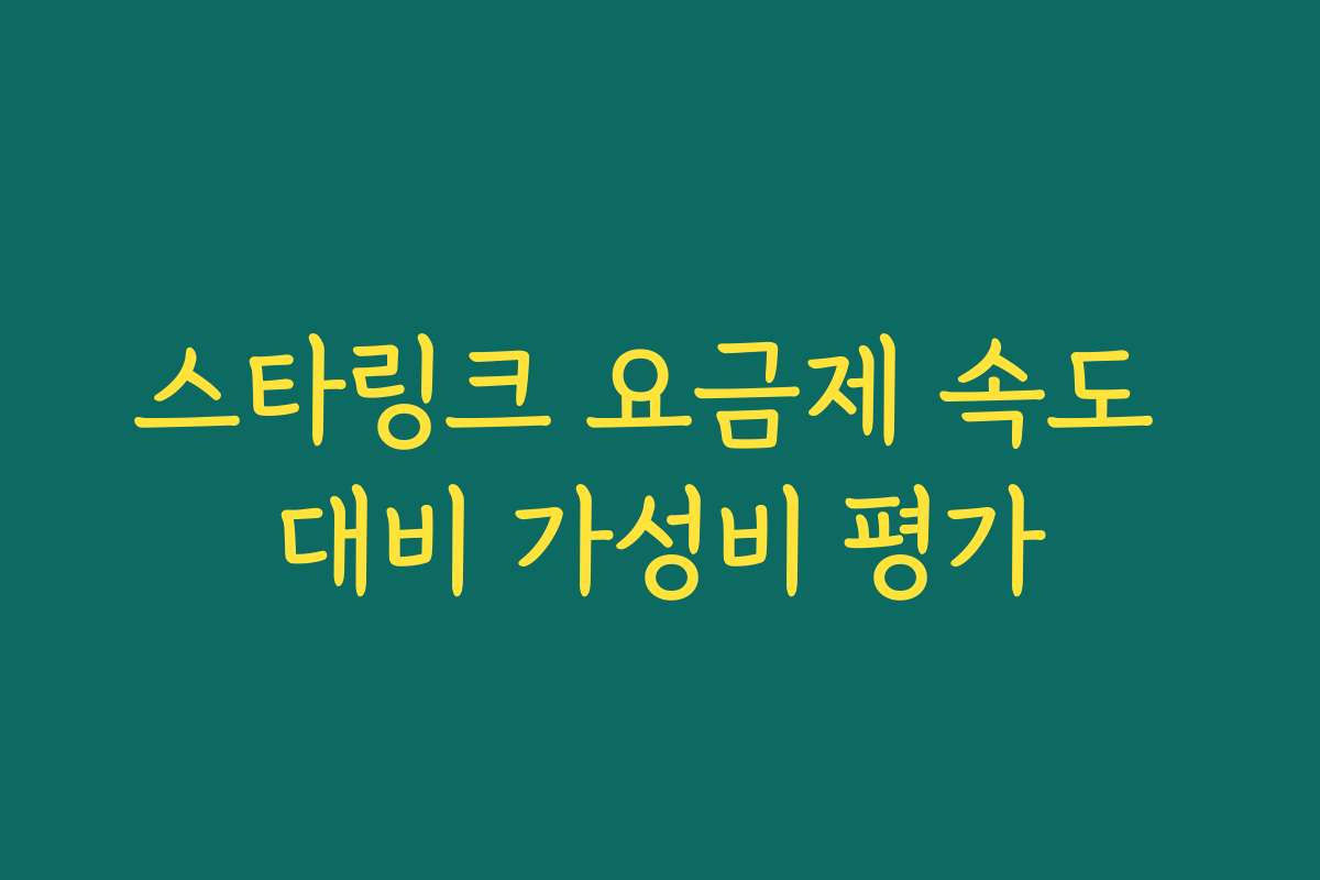 스타링크 요금제 속도 대비 가성비 평가