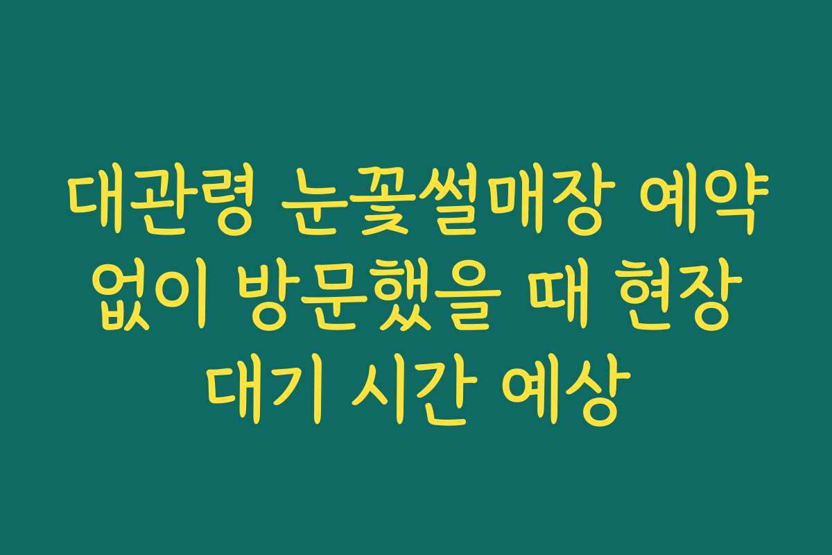 대관령 눈꽃썰매장 예약 없이 방문했을 때 현장 대기 시간 예상