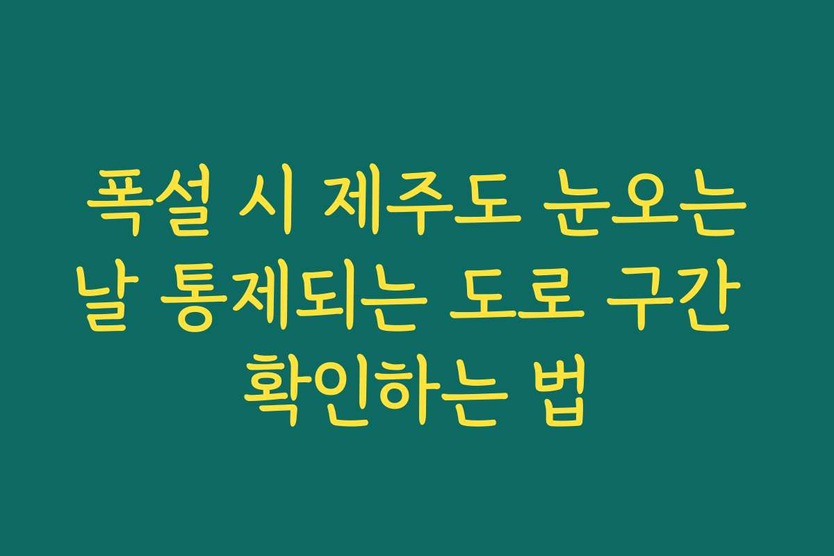 폭설 시 제주도 눈오는날 통제되는 도로 구간 확인하는 법