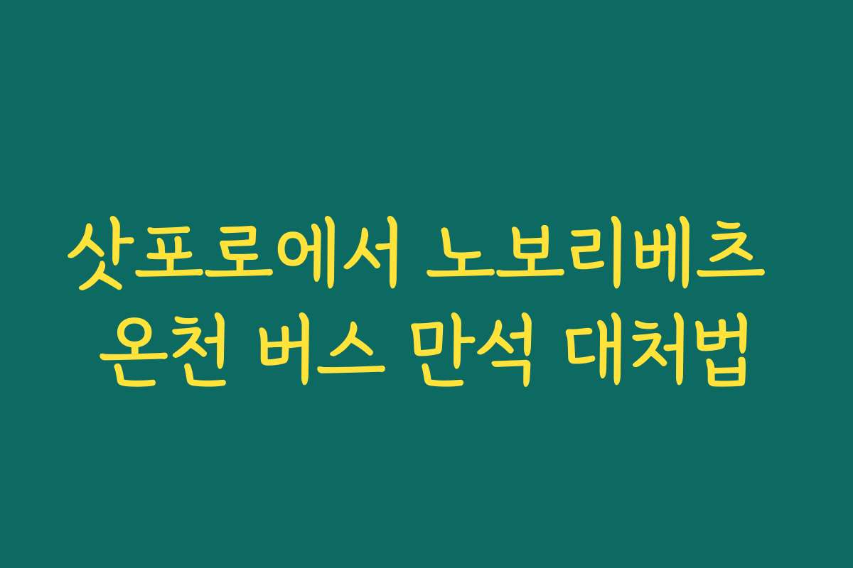 삿포로에서 노보리베츠 온천 버스 만석 대처법