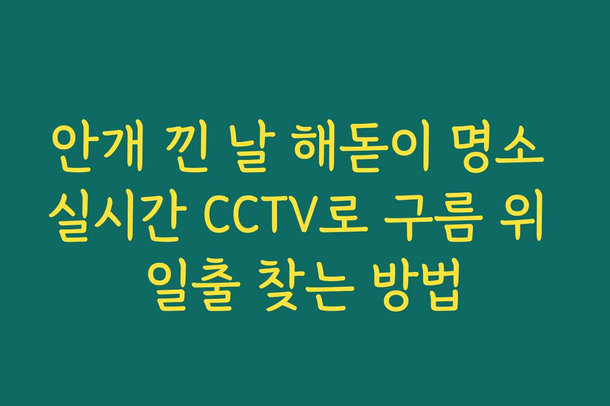 안개 낀 날 해돋이 명소 실시간 CCTV로 구름 위 일출 찾는 방법