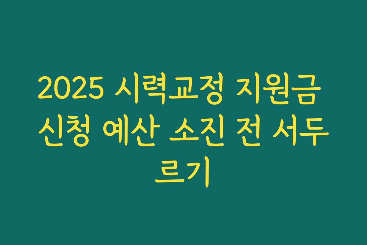 2025 시력교정 지원금 신청 예산 소진 전 서두르기