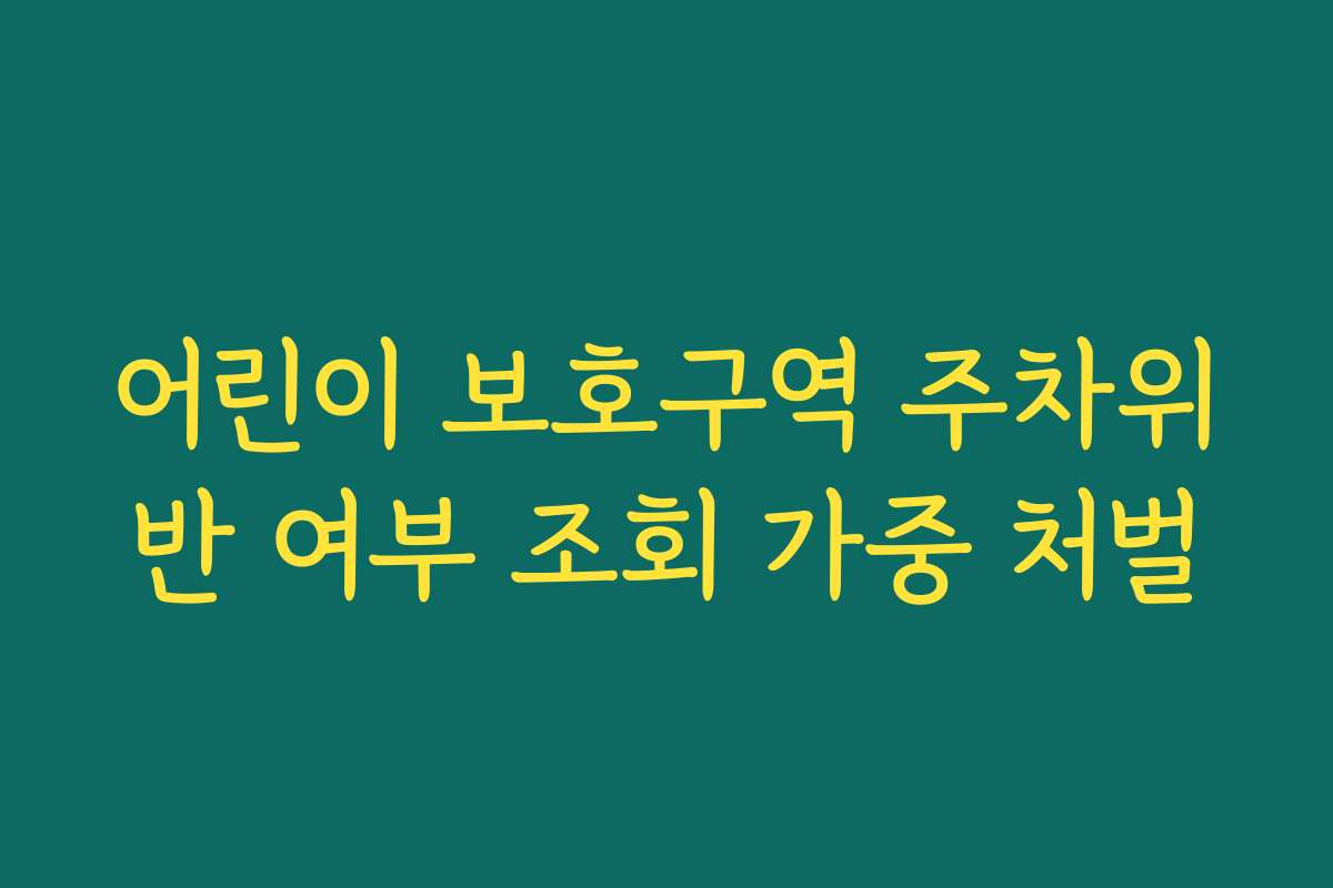 어린이 보호구역 주차위반 여부 조회 가중 처벌 어린이 보호구역 주차위반 여부 조회 가중 처벌
