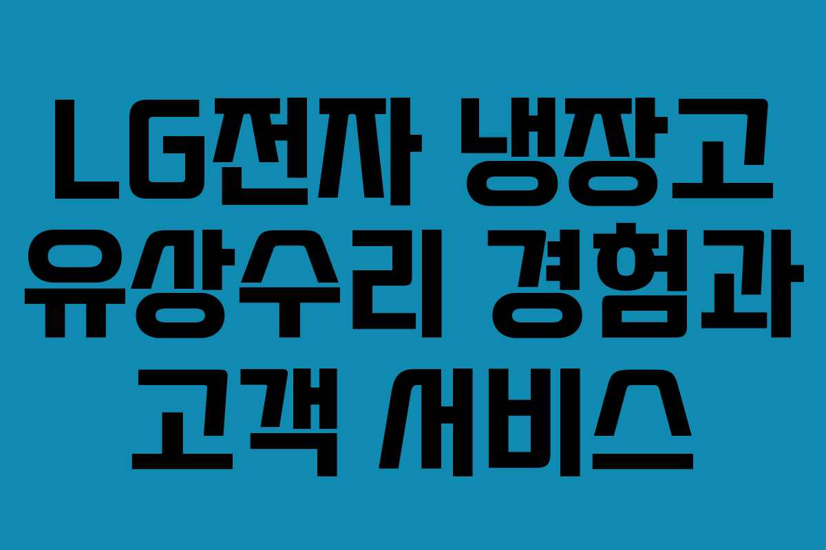 LG전자 냉장고 유상수리 경험과 고객 서비스