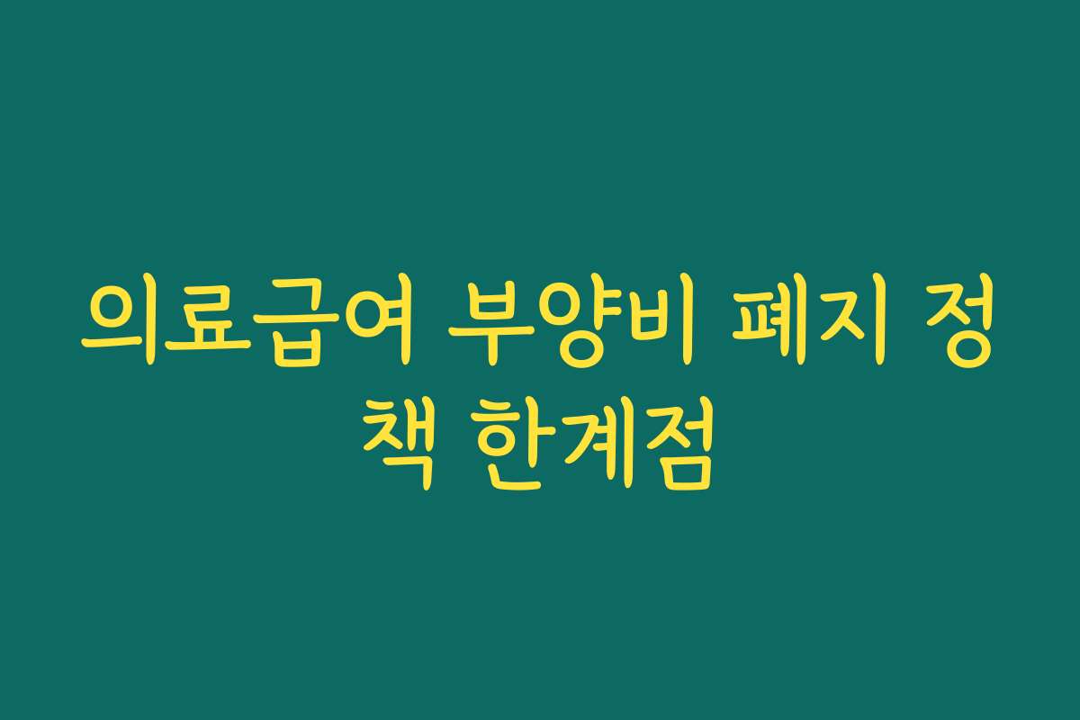 의료급여 부양비 폐지 정책 한계점