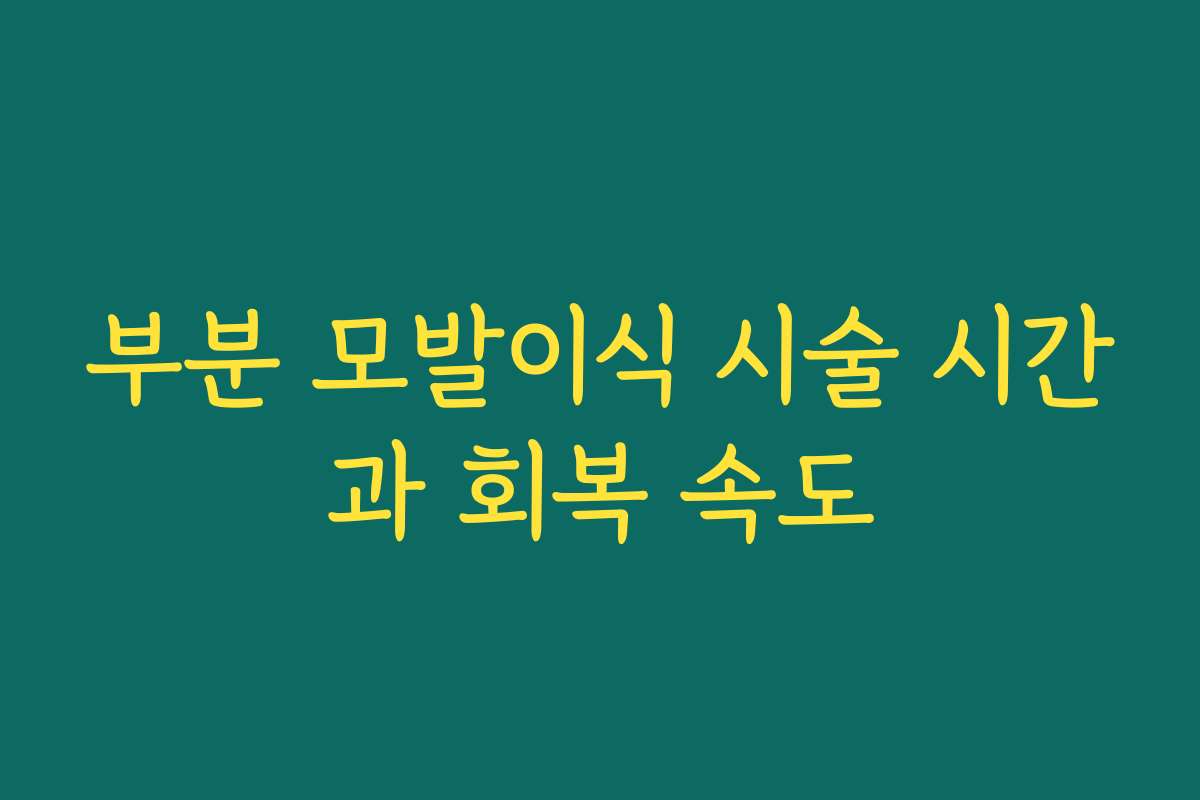 부분 모발이식 시술 시간과 회복 속도