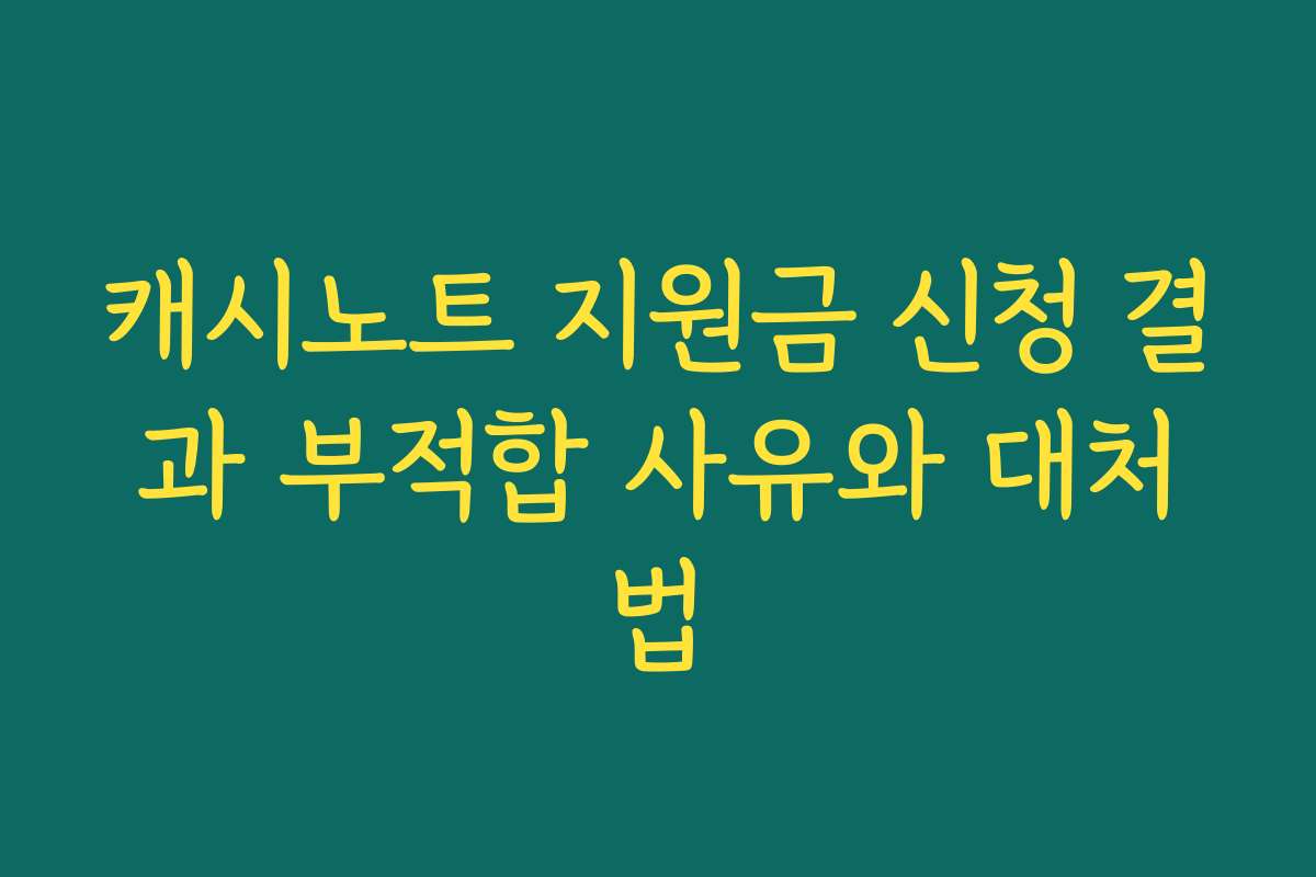 캐시노트 지원금 신청 결과 부적합 사유와 대처법