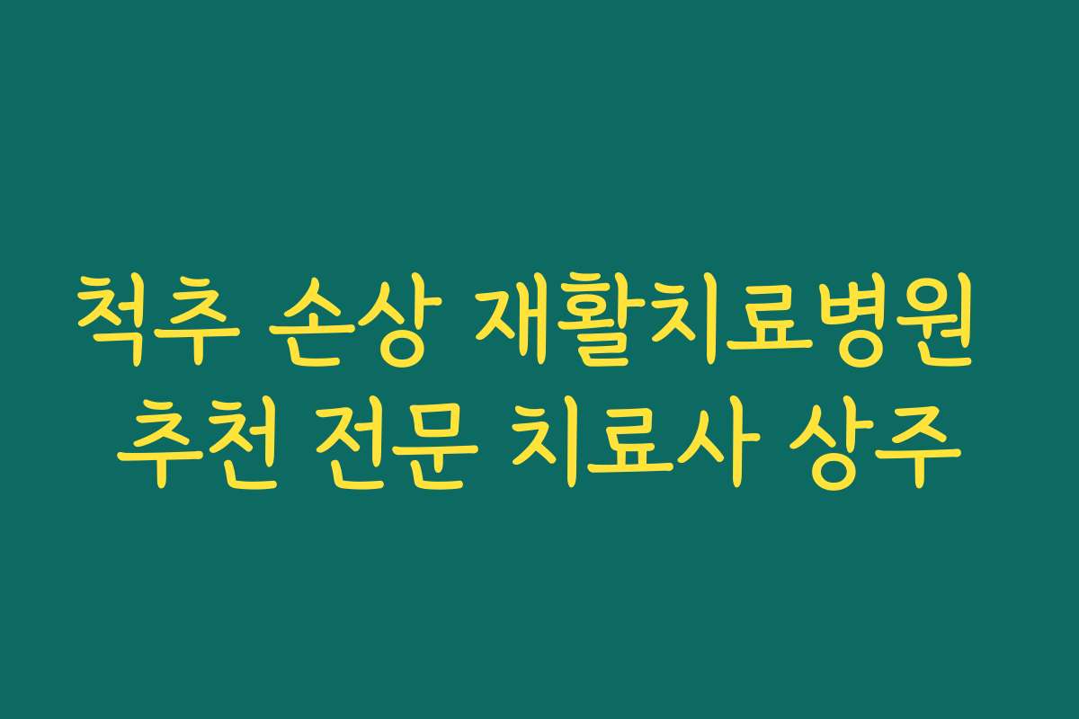 척추 손상 재활치료병원 추천 전문 치료사 상주