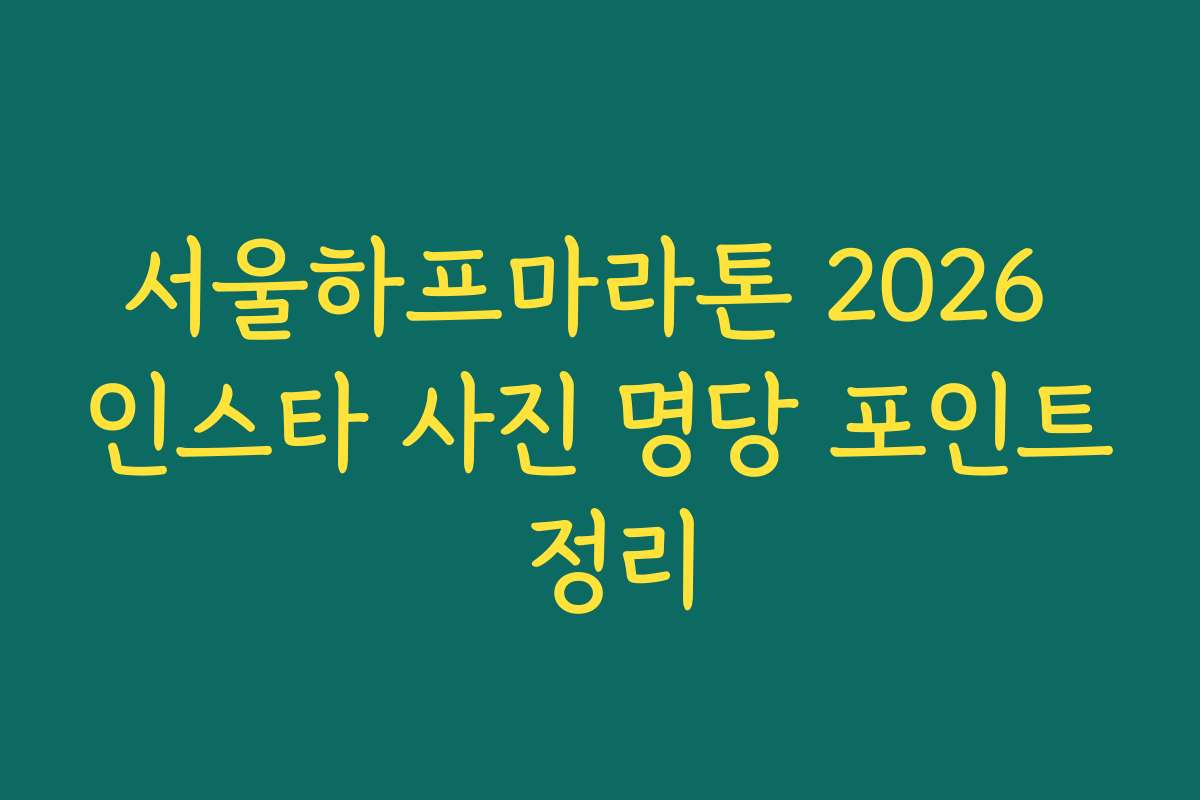 서울하프마라톤 2026 인스타 사진 명당 포인트 정리
