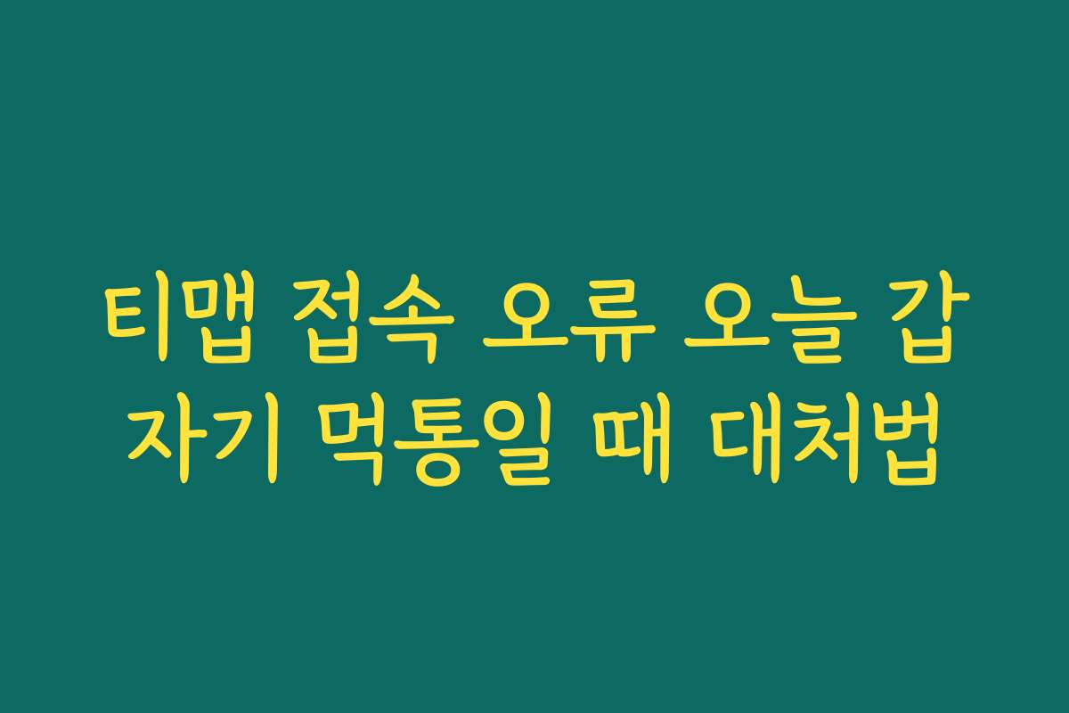 티맵 접속 오류 오늘 갑자기 먹통일 때 대처법