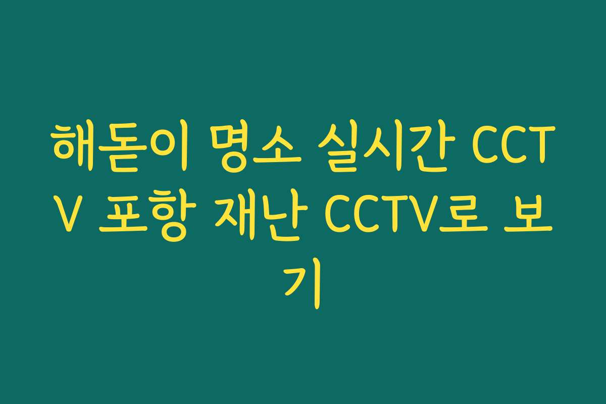 해돋이 명소 실시간 CCTV 포항 재난 CCTV로 보기