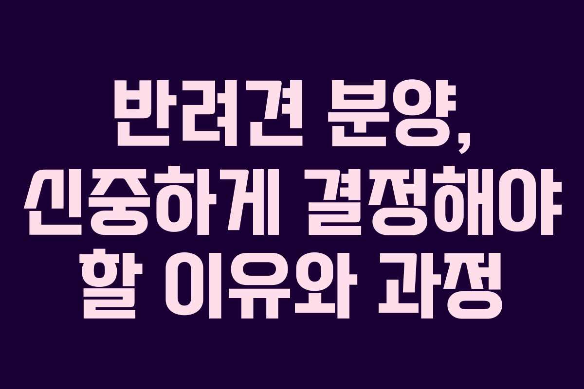 반려견 분양, 신중하게 결정해야 할 이유와 과정 반려견 분양, 신중하게 결정해야 할 이유와 과정