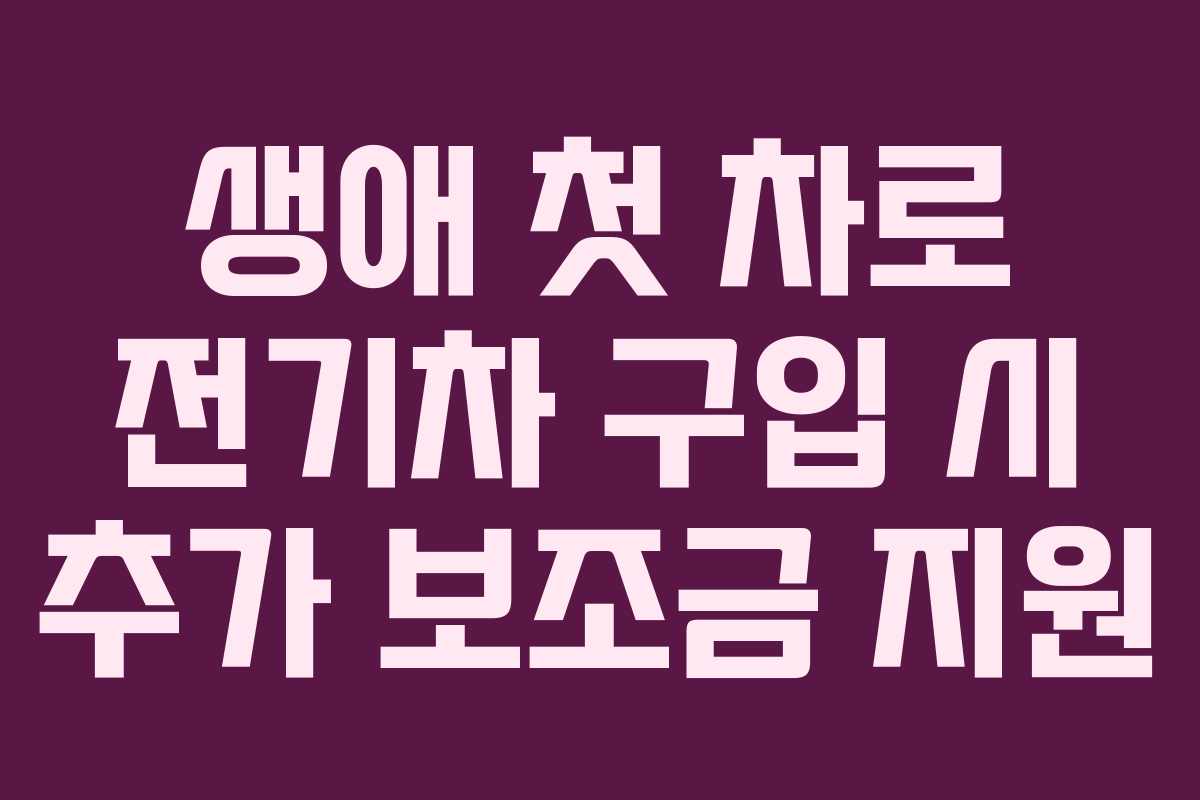 생애 첫 차로 전기차 구입 시 추가 보조금 지원 생애 첫 차로 전기차 구입 시 추가 보조금 지원