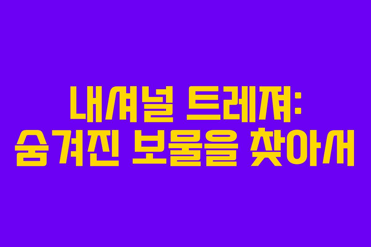내셔널 트레져: 숨겨진 보물을 찾아서 내셔널 트레져: 숨겨진 보물을 찾아서