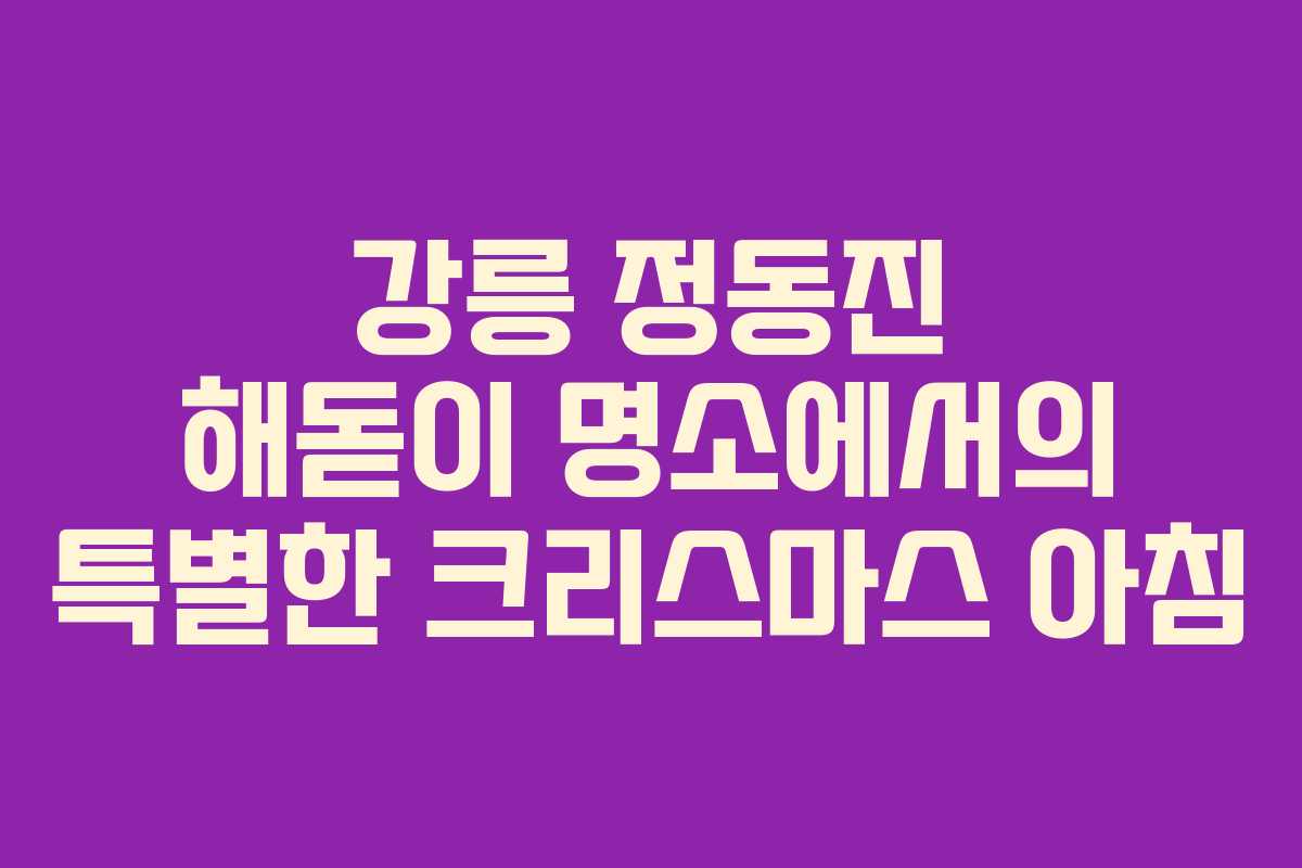 강릉 정동진 해돋이 명소에서의 특별한 크리스마스 아침