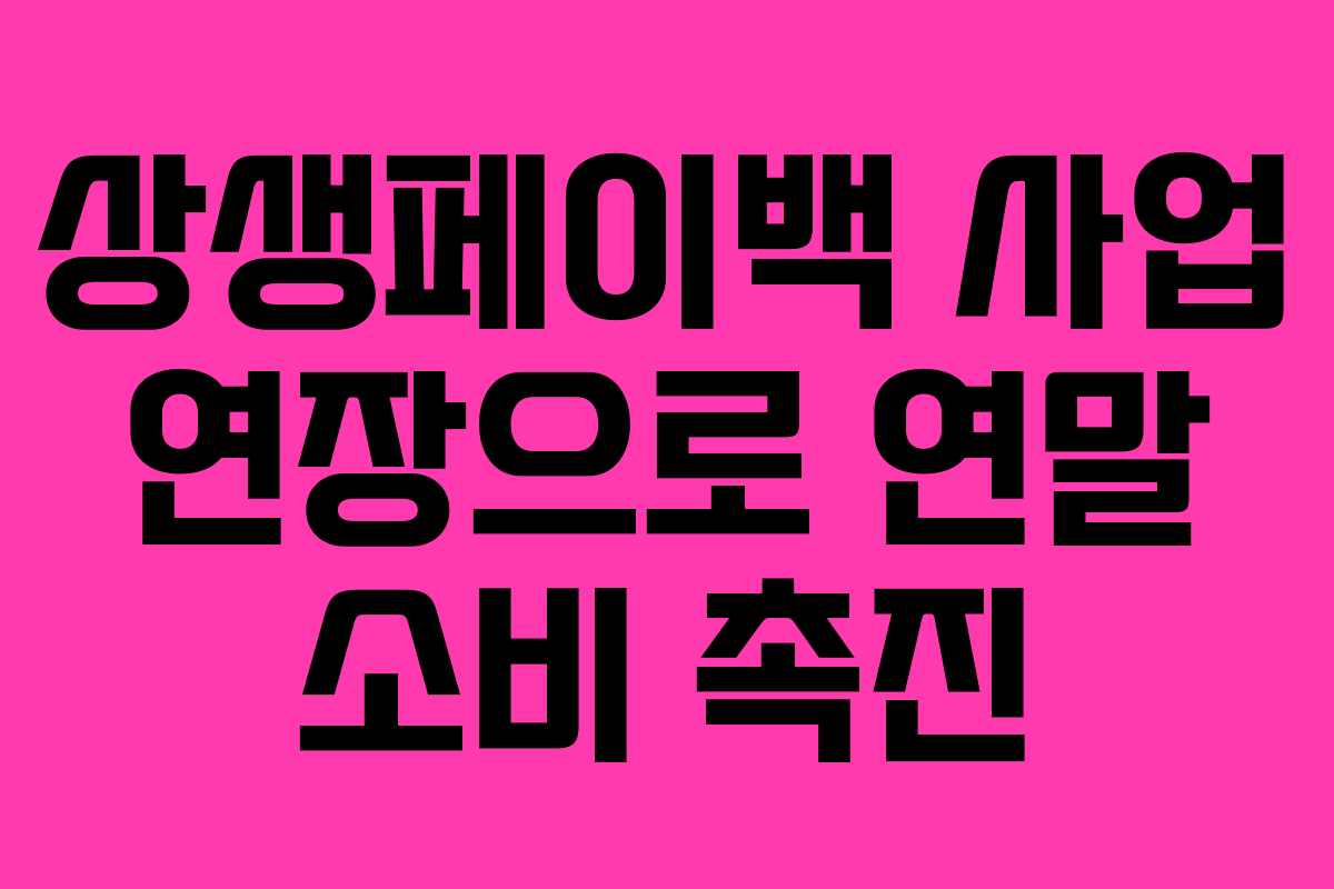 상생페이백 사업 연장으로 연말 소비 촉진 상생페이백 사업 연장으로 연말 소비 촉진