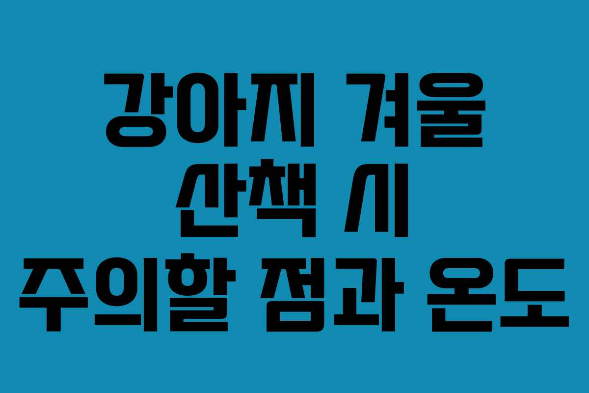 강아지 겨울 산책 시 주의할 점과 온도
