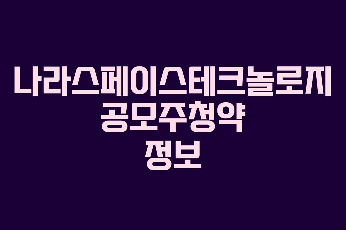 나라스페이스테크놀로지 공모주청약 정보