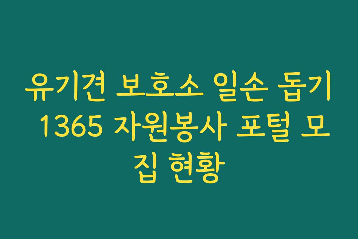 유기견 보호소 일손 돕기 1365 자원봉사 포털 모집 현황