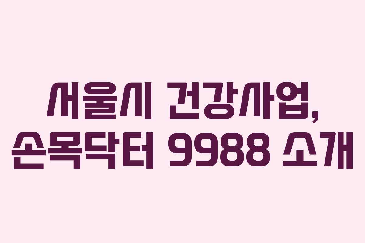 서울시 건강사업, 손목닥터 9988 소개