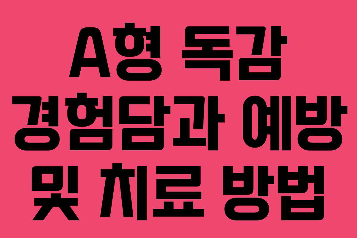A형 독감 경험담과 예방 및 치료 방법