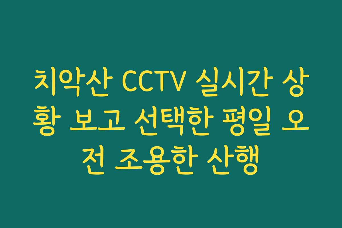 치악산 CCTV 실시간 상황 보고 선택한 평일 오전 조용한 산행