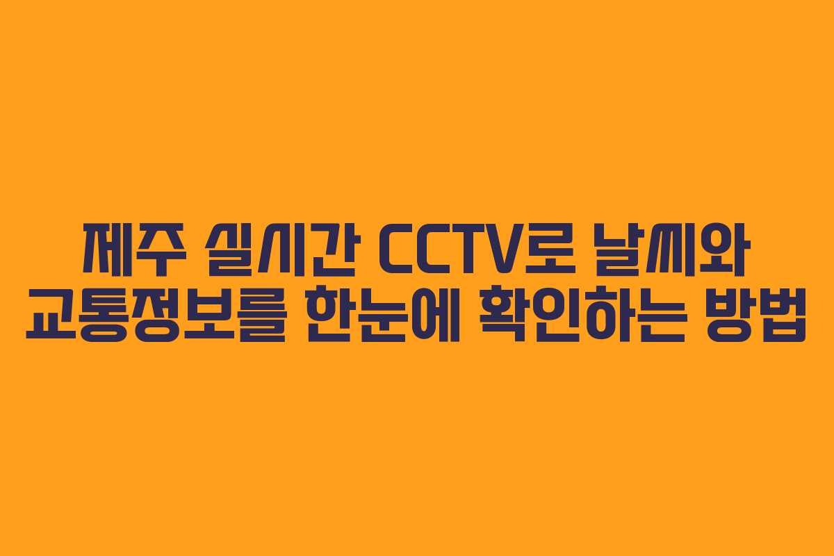제주 실시간 CCTV로 날씨와 교통정보를 한눈에 확인하는 방법