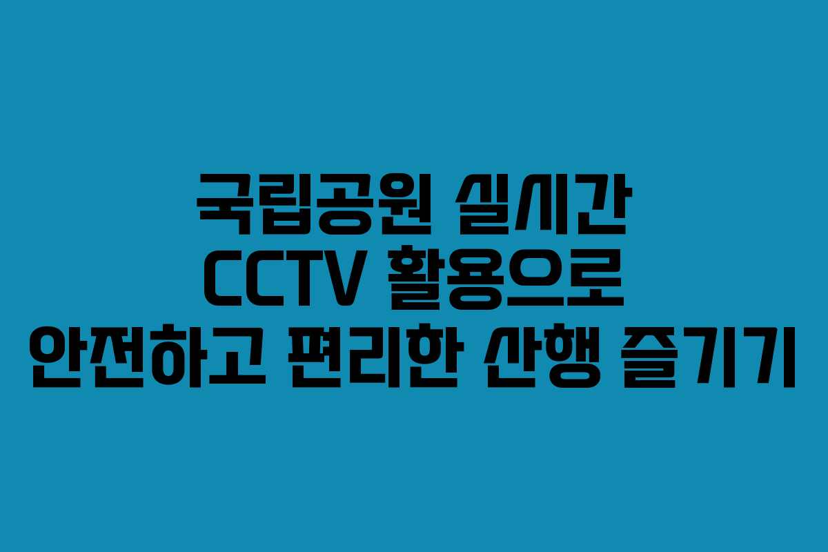 국립공원 실시간 CCTV 활용으로 안전하고 편리한 산행 즐기기