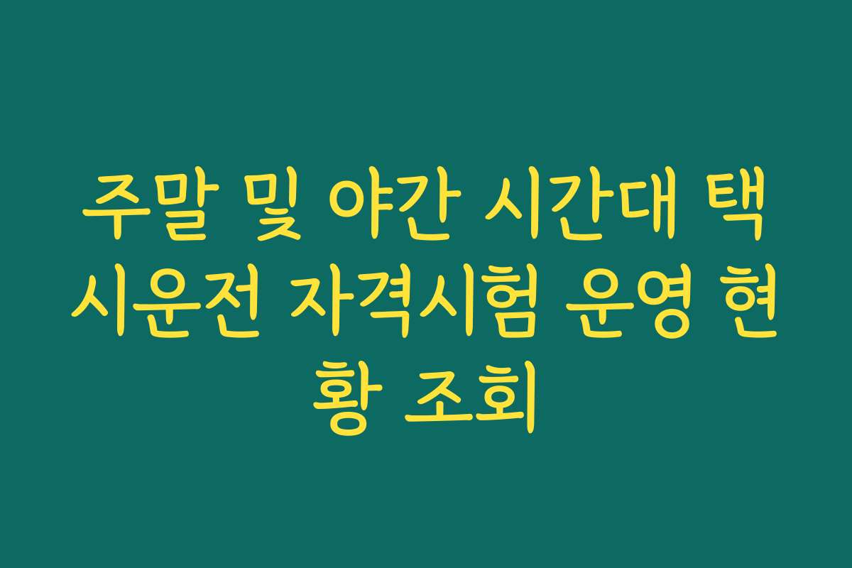 주말 및 야간 시간대 택시운전 자격시험 운영 현황 조회