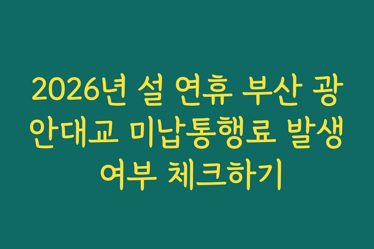 2026년 설 연휴 부산 광안대교 미납통행료 발생 여부 체크하기